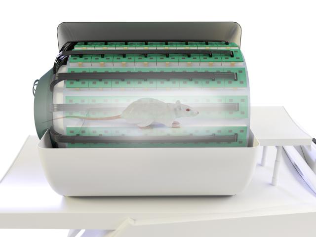 A 0,5mm resolution PET